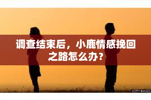 调查结束后，小鹿情感挽回之路怎么办？