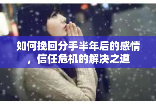 如何挽回分手半年后的感情，信任危机的解决之道