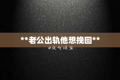 **老公出轨他想挽回**