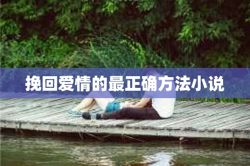挽回爱情的最正确方法小说