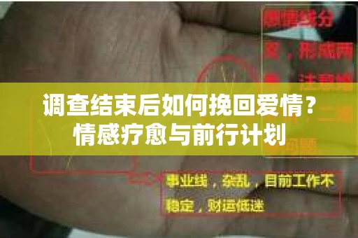 调查结束后如何挽回爱情？情感疗愈与前行计划