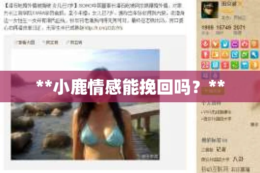**小鹿情感能挽回吗？**