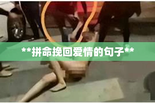 **拼命挽回爱情的句子**