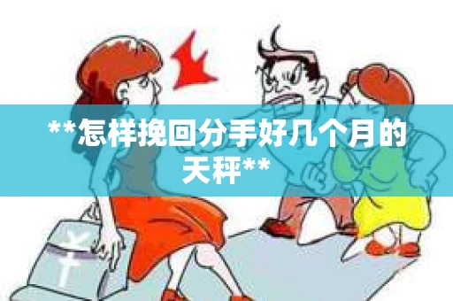 **怎样挽回分手好几个月的天秤**