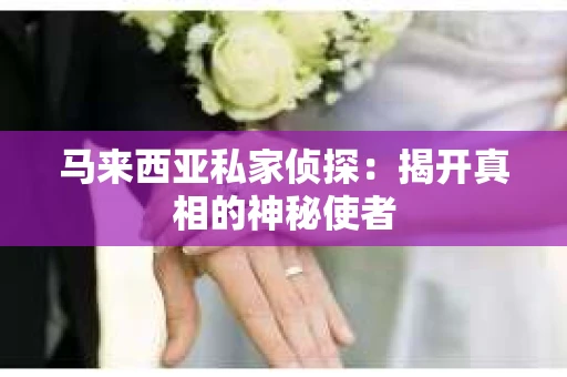 马来西亚私家侦探：揭开真相的神秘使者