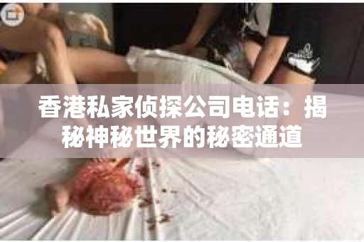 香港私家侦探公司电话：揭秘神秘世界的秘密通道