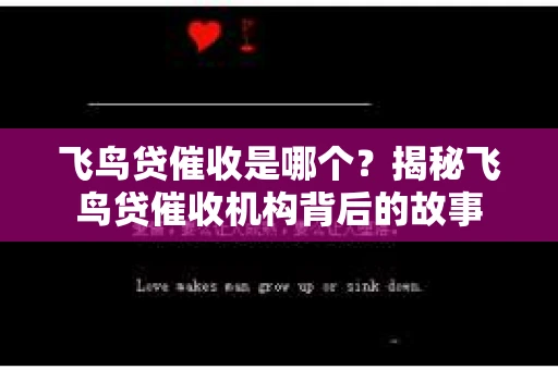 飞鸟贷催收是哪个？揭秘飞鸟贷催收机构背后的故事