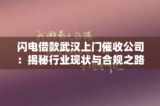 闪电借款武汉上门催收公司：揭秘行业现状与合规之路