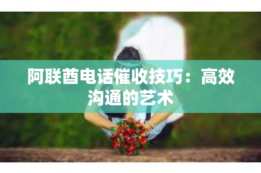 阿联酋电话催收技巧：高效沟通的艺术