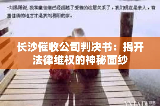 长沙催收公司判决书：揭开法律维权的神秘面纱
