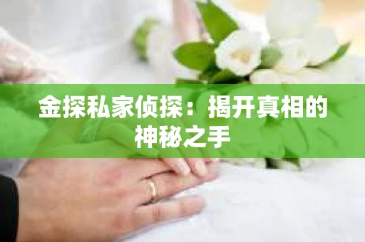 金探私家侦探：揭开真相的神秘之手