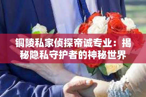 铜陵私家侦探帝诚专业：揭秘隐私守护者的神秘世界