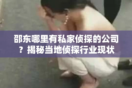 邵东哪里有私家侦探的公司？揭秘当地侦探行业现状