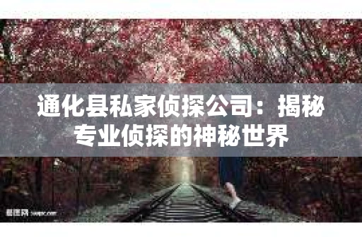 通化县私家侦探公司：揭秘专业侦探的神秘世界