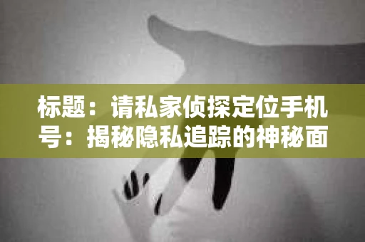标题：请私家侦探定位手机号：揭秘隐私追踪的神秘面纱