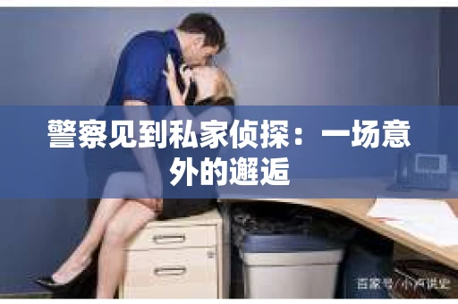 警察见到私家侦探：一场意外的邂逅