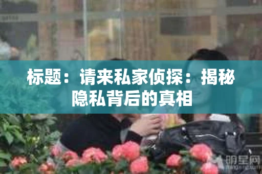标题：请来私家侦探：揭秘隐私背后的真相