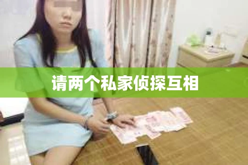 请两个私家侦探互相