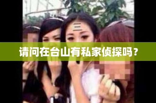 请问在台山有私家侦探吗？