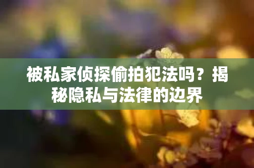 被私家侦探偷拍犯法吗？揭秘隐私与法律的边界