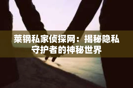 莱钢私家侦探网：揭秘隐私守护者的神秘世界