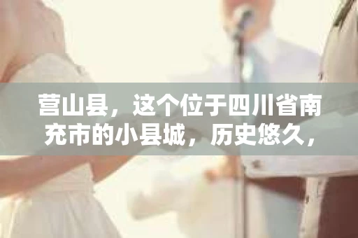 营山县，这个位于四川省南充市的小县城，历史悠久，风景秀丽。但在这个宁静的小县城里，你是否会好奇，有没有私家侦探的存在呢？今天，我就来和大家聊聊这个话题。