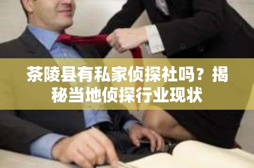 茶陵县有私家侦探社吗？揭秘当地侦探行业现状