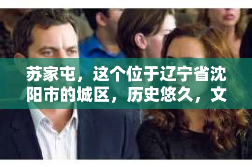 苏家屯，这个位于辽宁省沈阳市的城区，历史悠久，文化底蕴深厚。近年来，随着社会的发展，人们对于私家侦探的需求也逐渐增加。那么，苏家屯有私家侦探吗？今天，我们就来聊聊这个话题。