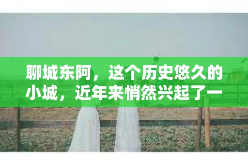 聊城东阿，这个历史悠久的小城，近年来悄然兴起了一股新的服务潮流——私家侦探。今天，我们就来聊聊这个话题，看看在聊城东阿，私家侦探是如何成为人们生活中的一部分的。