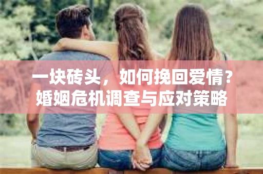 一块砖头,如何挽回爱情?婚姻危机调查与应对策略 一块砖头,如何挽回爱情?婚姻危机调查与应对策略