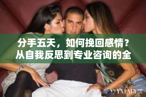 分手五天，如何挽回感情？从自我反思到专业咨询的全面解决方案