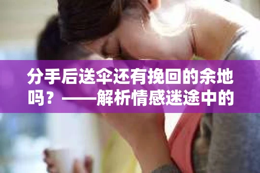 分手后送伞还有挽回的余地吗？——解析情感迷途中的决策