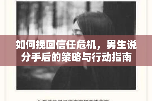 如何挽回信任危机，男生说分手后的策略与行动指南