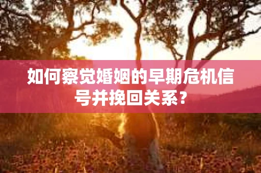 如何察觉婚姻的早期危机信号并挽回关系？
